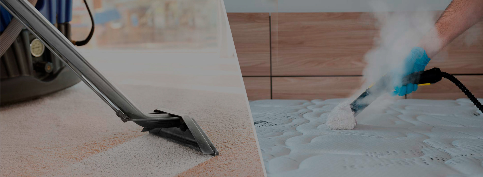 LIMPIEZA ESPECIALIZADA